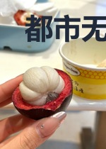 都市无敌龙少