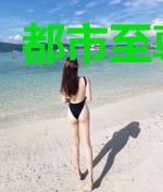 都市至尊狂龙