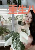 重生八零弃妇