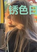 锈色日记本