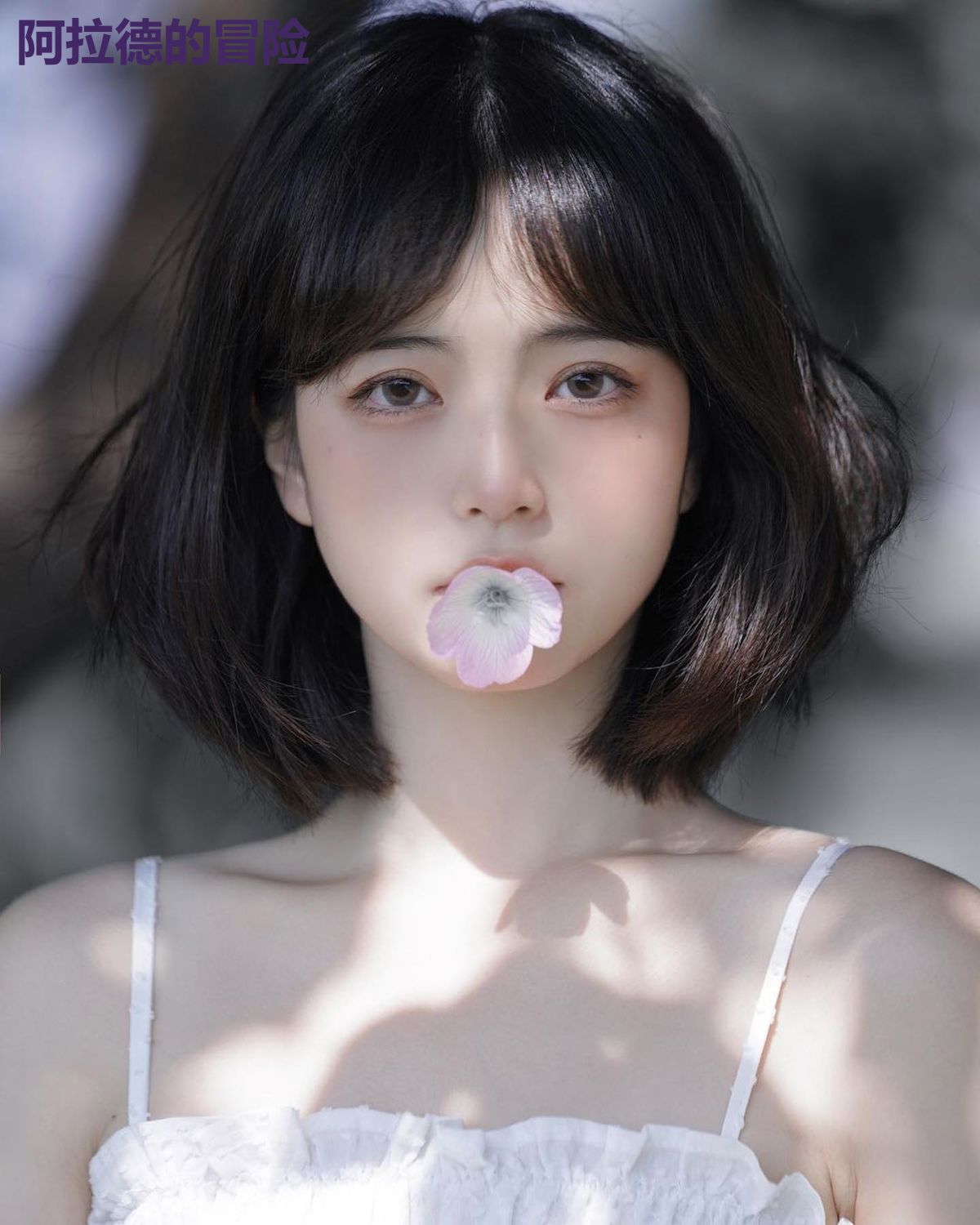 阿拉德的冒险