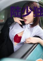 陆少独占二婚妻秦欢