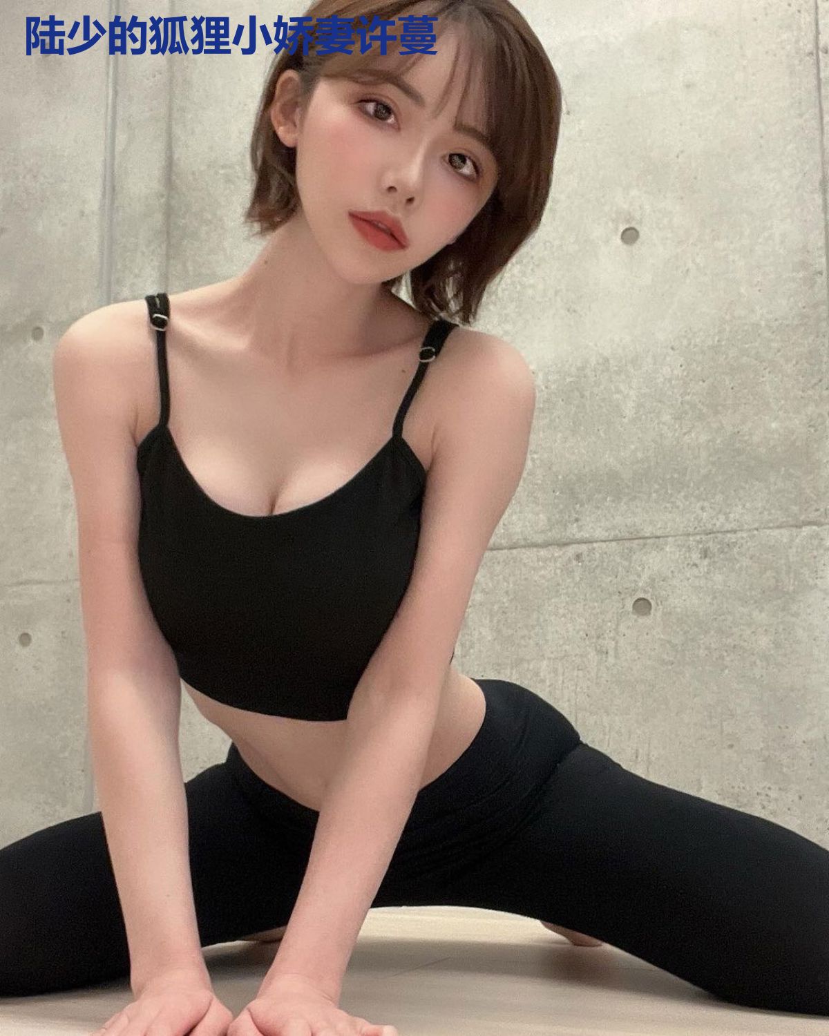 陆少的狐狸小娇妻许蔓