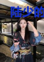 陆少的甜宠心尖