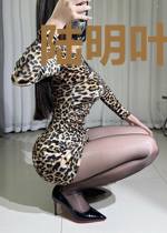 陆明叶青鸾