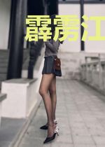 霹雳江湖之丹心藏镜