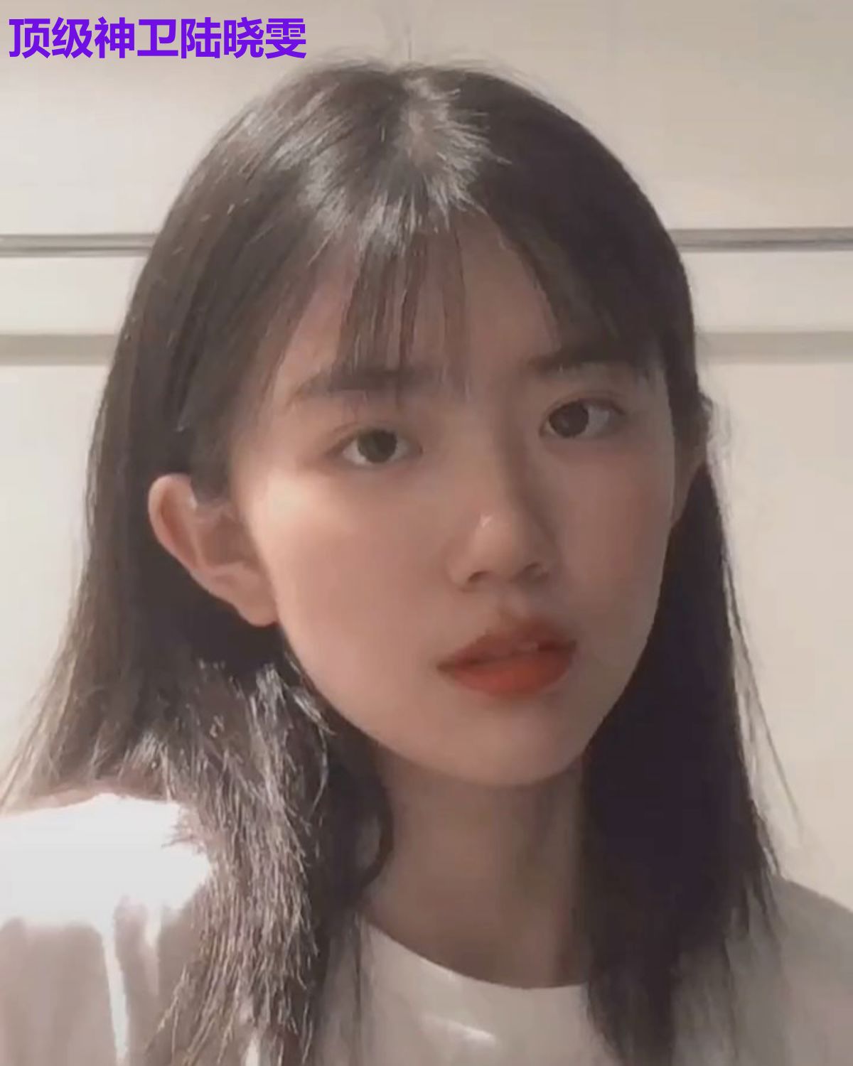 顶级神卫陆晓雯