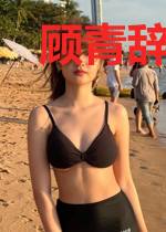 顾青辞穆玄景