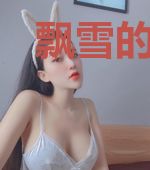 飘雪的岁月