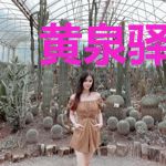 黄泉驿站之彼岸花开