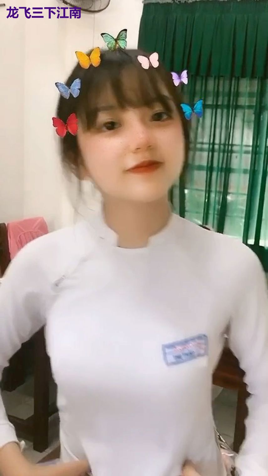 龙飞三下江南