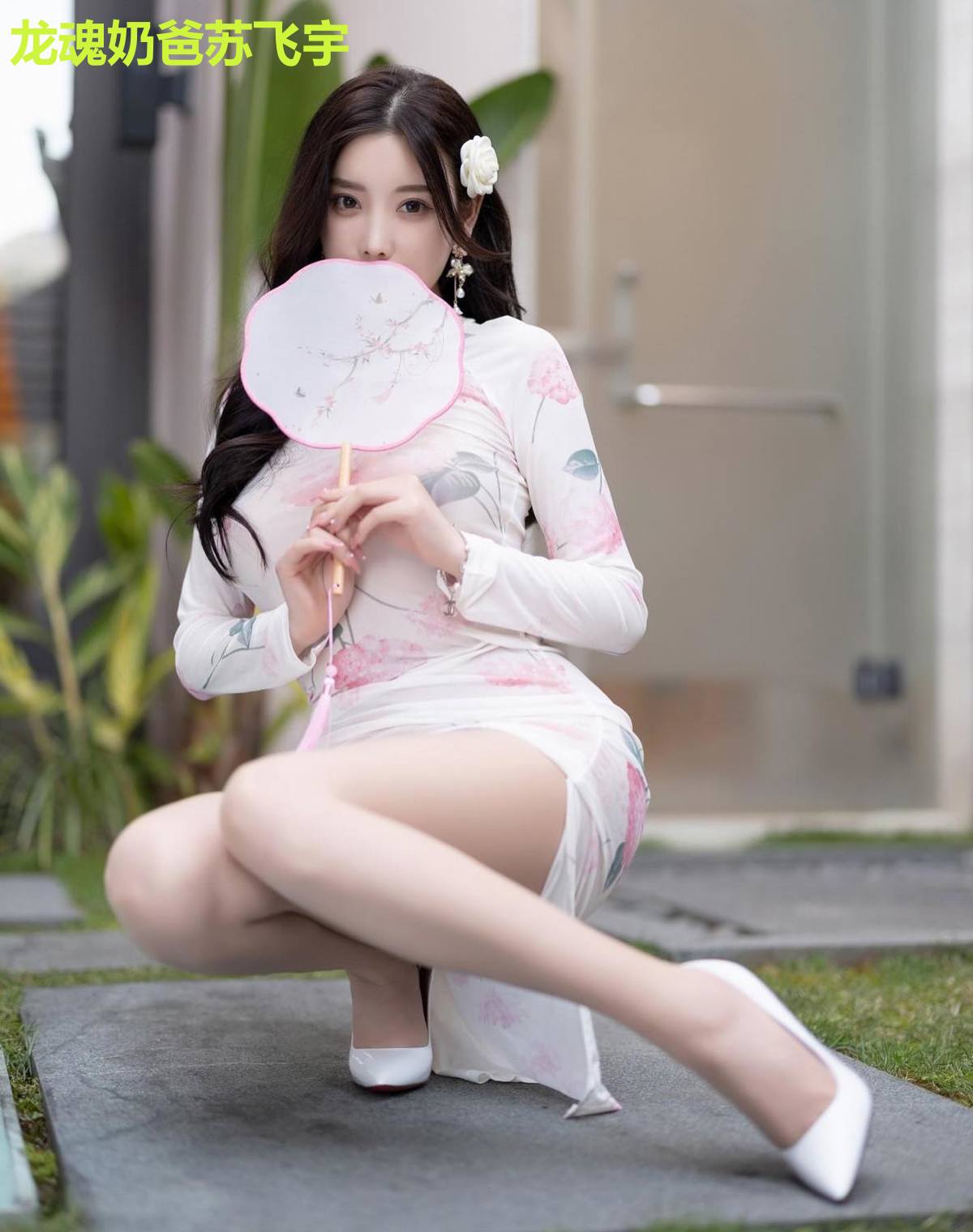 龙魂奶爸苏飞宇
