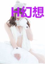 H幻想国度
