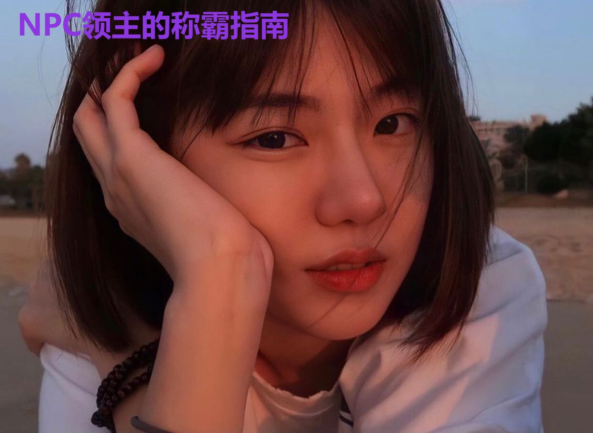NPC领主的称霸指南