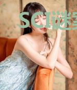 SCI谜案集(第五部)