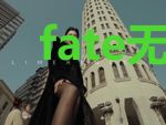 fate无限灵基